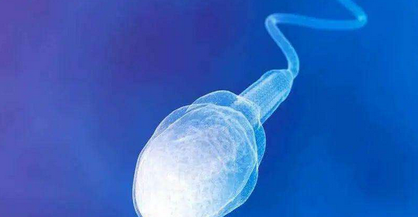 男性备孕不能靠感觉，精子碎片率是否正常有个范围值