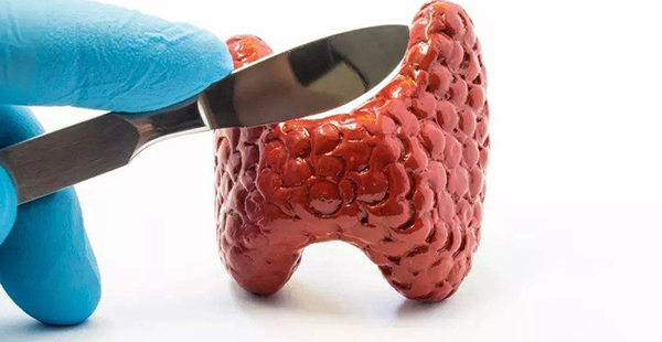 甲状腺功能异常不能不管！影响生育让备孕难度翻倍