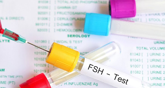 FSH值高别太担心，能不能怀孕还得看它们...