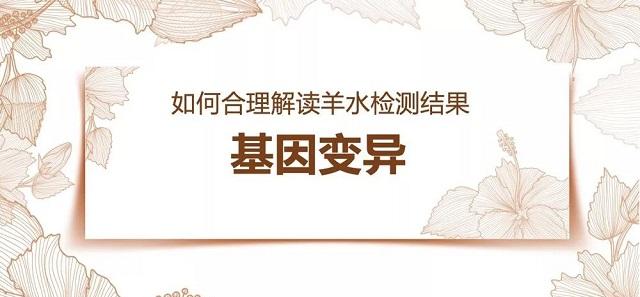 怎么看PCR基因变异报告，解读高通量测序染色体检查