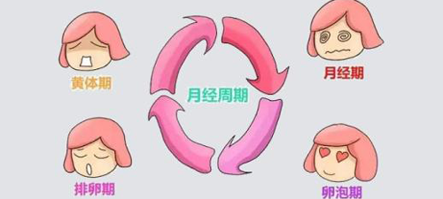 备孕要想“一击即中”，那么你得知道哪几天是排卵期