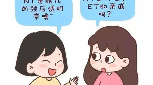 nt结果为4.7mm也不怕，孩子能不能要无创DNA说了算