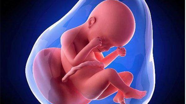 nt值为4.3mm不一定要引产，胎儿畸形与否仍需进一步确定