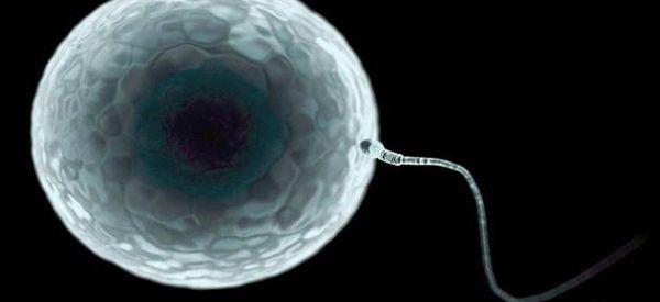 试管移植21天后做B超能看到孕囊吗？