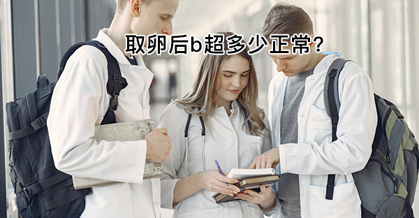 取卵后b超检查很重要！孕酮正常与否关系着试管进度