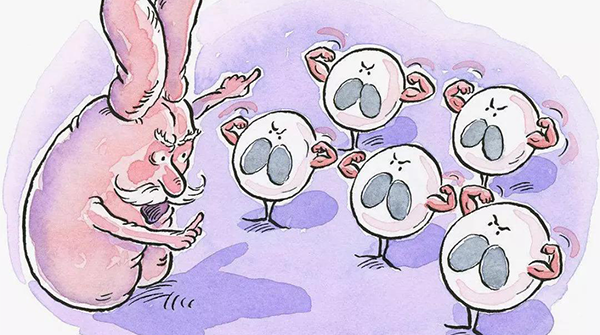 不用打针吃药，这8种升白细胞汤美味又高效