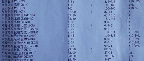 不同年龄段白细胞正常值各不一!增加或减少都有影响