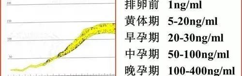 高龄试管婴儿怀孕都在谈保胎，孕酮监测与保胎知多少！