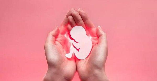 做试管婴儿不得不说节操碎了一地的“保胎产业”