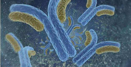 服药|饮食影响丙肝抗体检测结果,此类注意事项要牢记