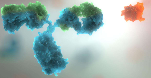 丙肝抗体正常值是多少,需从定量|定性中了解