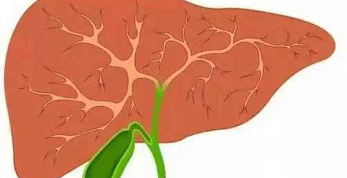 详解|丙肝抗体阳性并不一定是丙肝,常见问题解答