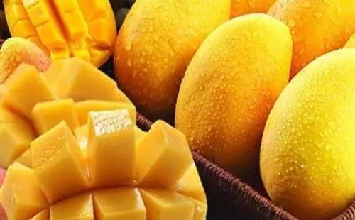 哺乳期妈妈吃芒果有下奶的作用吗？