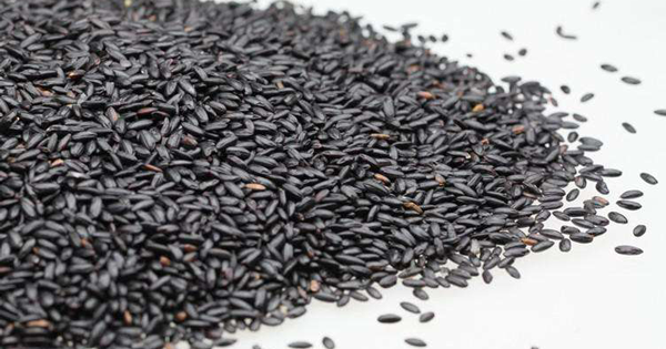 孕妇可以吃黑米吗