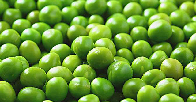 孕妇可以吃豌豆吗