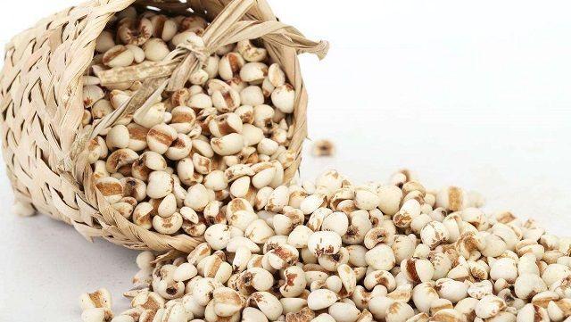 孕妇可以吃薏米吗