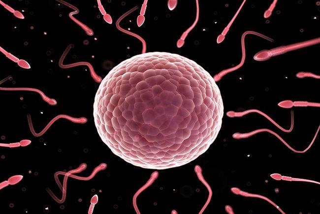 少精症患者通过药物治愈后能生育吗？