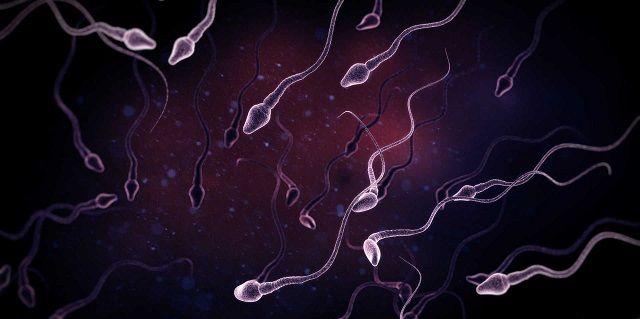 精子条形胶状不液化对生育有影响吗？