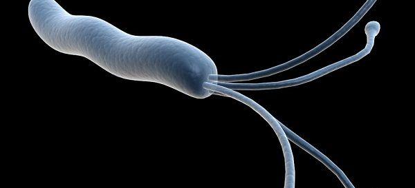 精子活动力c级禁欲5天后同房会怀孕吗？