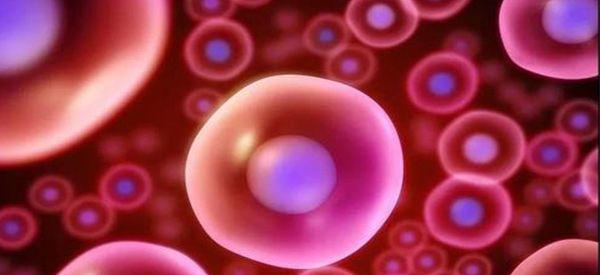 什么情况下1.8-2.5cm的优势卵泡会萎缩？