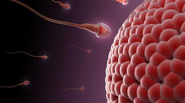 精子正常率3%男性需重视，严重程度可致不育