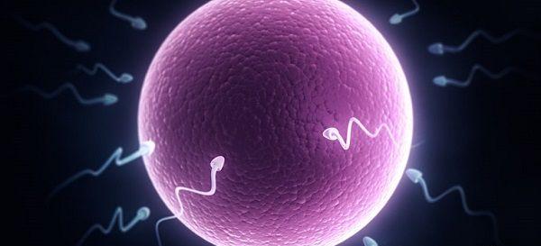 男性精子浓度低于多少不育风险增高？