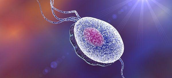 精子化验单上的活动力和活动率，两者有何区别？