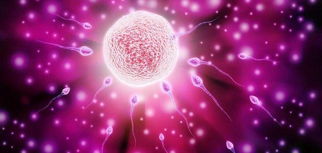 8个方法判断精液及精子质量正常，呈碎果冻样导致不孕