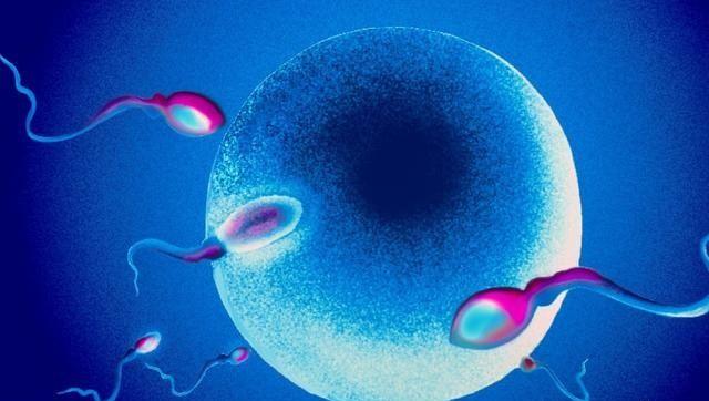 千万别做这7件事不会畸形精子多，别再担心生育力没了