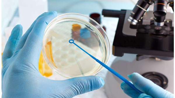 回顾试管婴儿历史，从1978年世界第一例到1988中国第一例...