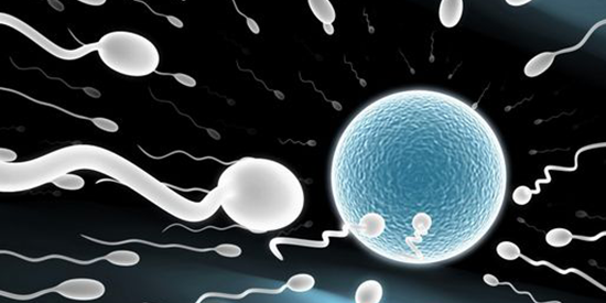 别再傻傻分不清楚了!少精与弱精拥有这3大明显区别