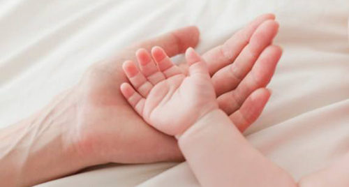 首例“线粒体移植婴儿”出生,昭告原发性不孕难题被攻克