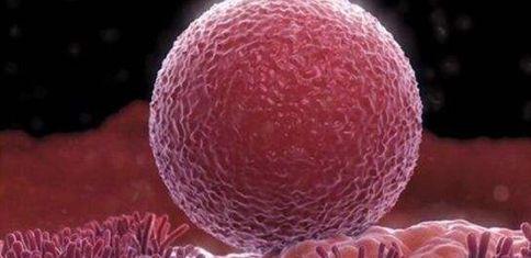 枸橼酸氯米芬胶囊试管药物 治疗夫妻不孕不育效果好