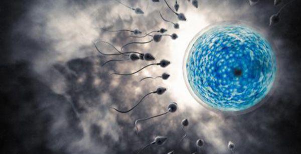 黄体期促排方案期间要谨慎！3大注意事项切勿忽视