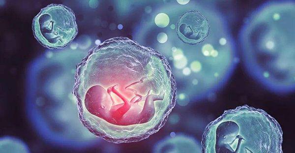 试管自然周期怀双胞胎有风险！成功率再高也不能随意做