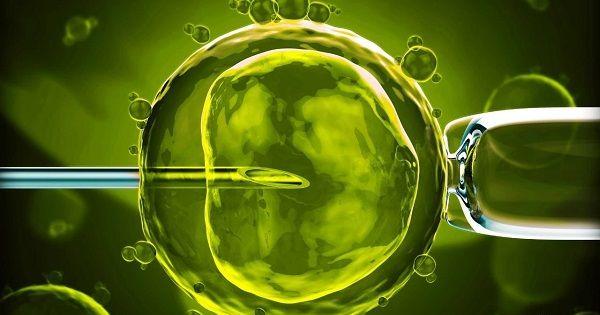 试管婴儿1001个问题，医生挑了你最“操心”的来回答