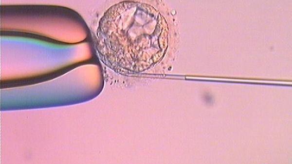 促排前必读：关于试管拮抗剂方案，这8个问题都来看看