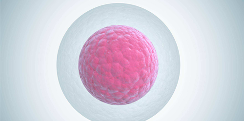 怎么做怀孕的几率会高一些,四招辨别是否怀孕