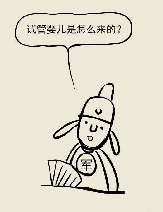 「图解试管」让医学变得简单,一文读懂试管婴儿-认知篇/13图