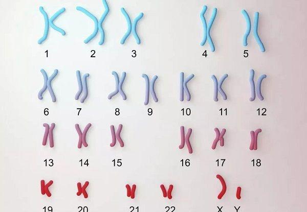 试管胚胎怪像“非整倍体”，反复移植失败的罪魁祸首