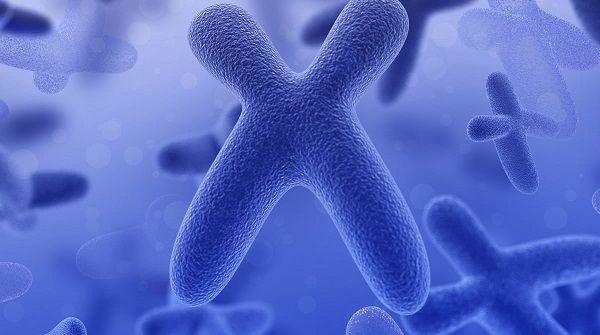 三代试管PGS迷局：带你深入了解整倍体胚胎