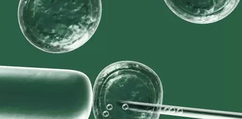 第三代试管婴儿科普：PGS和PGD在医学都是什么