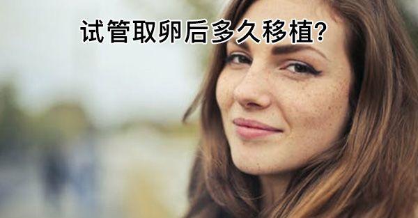 取卵后移植时间有标准！听听做过试管的姐妹经验之谈