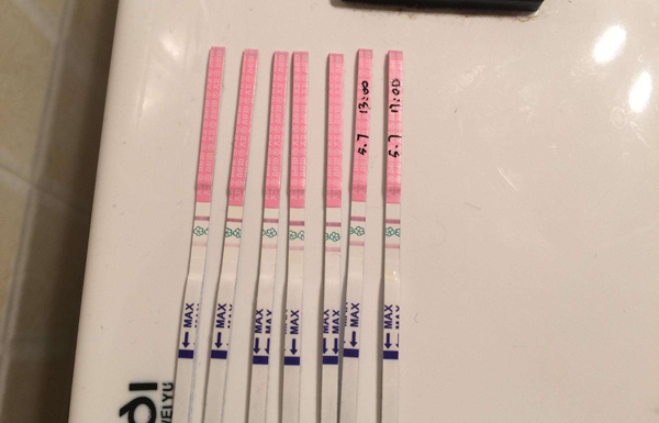 囊胚解冻后几小时移植？具体要看女性身体情况