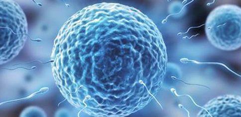 一步都不错过的俄罗斯试管婴儿过程