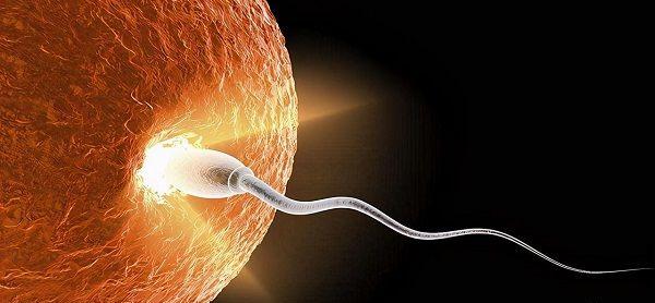 广东试管婴儿成功率排名靠前的医院有哪些？