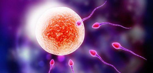 详细请看，贵州试管婴儿医院全流程费用