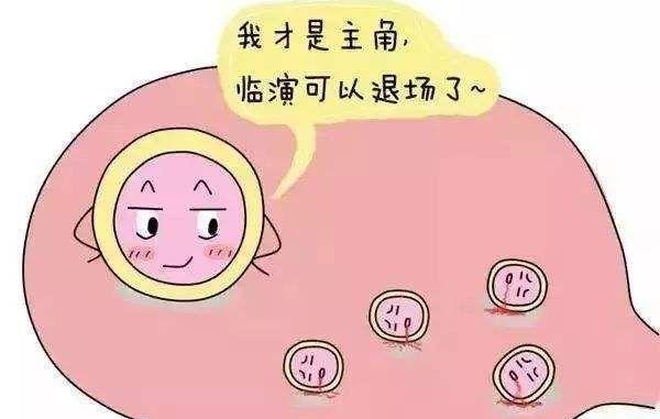 别再问46岁做试管婴儿成功率多少了，卵子质量是关键！