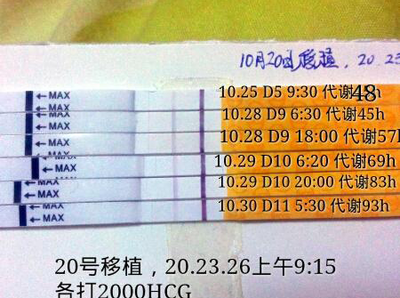 试管移植16天腹痛感消失正常吗？稳定与否看血值HCG