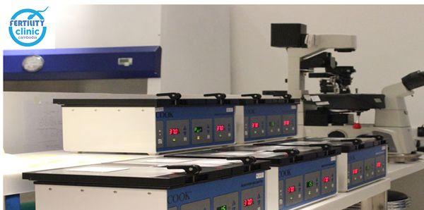 过来人经验分享!柬埔寨FCC生殖诊所实用指南